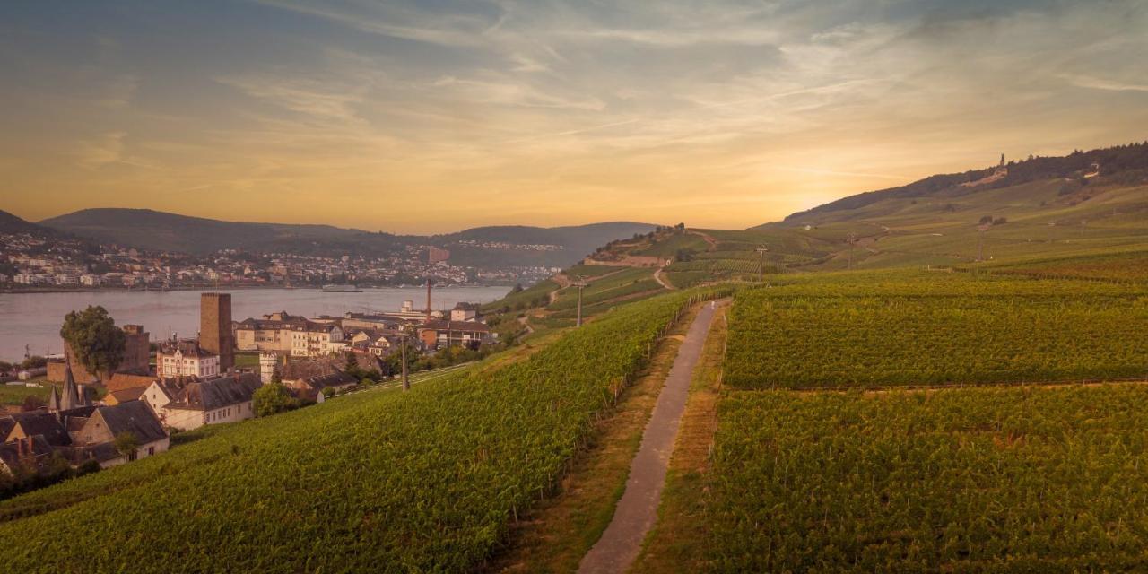 Weinhotel Des Riesling Zum Gruenen Kranz Рюдесгайм-ам-Райн Екстер'єр фото